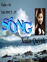 sóng thao giảng xuân q­uỳnh