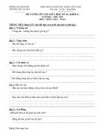 Đề cương giữa kì II lớp 1