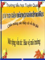 Luyện từ và câu: MRVT: bảo vệ môi trường