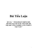 Ô nhiễm môi trường đất 