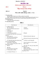 GIAO AN L2 TUAN 16 CKT (BEN DEP)