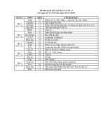 GA 4 Tuan 11 (CKTKN)