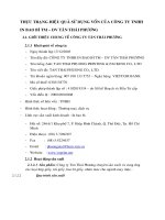 THỰC TRẠNG HIỆU QUẢ SỬ DỤNG VỐN CỦA CÔNG TU TNHH BAO BÌ  TM DV TÂN THÁI PHƯƠNG