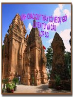 MRVT: THIÊN NHIÊN T-9