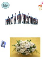 phan so va phep chia