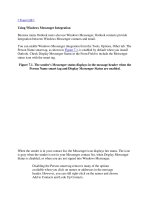 Using Windows Messenger Integration