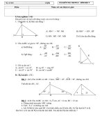 Đề Kiểm Tra cuối chương I-HH 9-Tiết 19