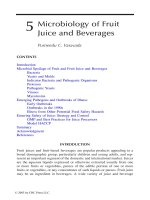 Microbiology of Fruit Juice and Beverages