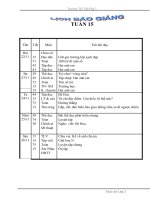 giao an lop 2 tuan 15 CKTKN -KNS