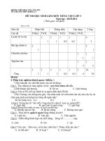 DE THI HS GIOI TIENG VIET LOP3