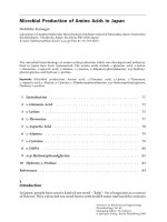 Microbial Production of Amino Acids in Japan