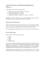 System Processes and Memory Management