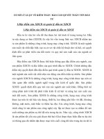 CƠ SỞ LÝ LUẬN VỀ KIỂM TOÁN  BÁO CÁO QUYẾT TOÁN VỐN ĐẦU TƯ