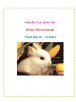 Chủ đề: Con vật bé biết - Đề tài: Thỏ con ăn gì? - Nhóm lớp: 25 – 36 tháng