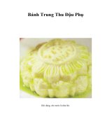 Bánh Trung Thu Đậu Phụ