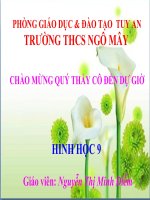 Đường tròn nội tiếp, đường tròn ngoại tiếp