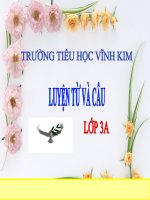 LTVC: Từ ngữ về quê hương - Ôn tập câu Ai làm gì