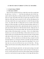 LÝ THUYẾT CHUNG VỀ BHXH VÀ CÔNG TÁC THU BHXH