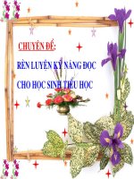 Ren ky nang doc cho hs Tieu hoc
