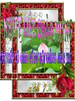 Tiết 24- sử dụng hàm để tính toán