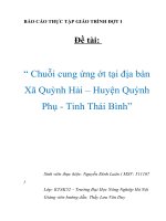Báo cáo thực tập giáo trình đợt I: “Chuỗi cung ứng ớt tại địa bàn Xã Quỳnh Hải – Huyện Quỳnh Phụ - Tỉnh Thái Bình”