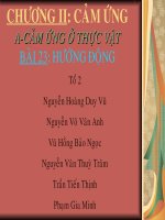 bai :cac kieu huong duong
