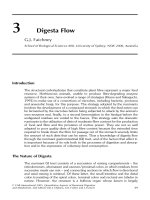 Quantitative aspects of ruminant digestion and metabolism - Phần 2