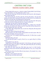 Long hổ phong vân - tập 8