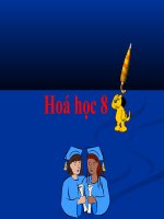 hoa 8 tiet 49