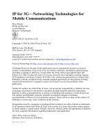 IP for 3G - Networking Technologies for Mobile Communications