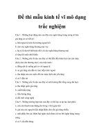 Đề thi mẫu kinh tế vĩ mô dạng trắc nghiệm