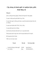 Cấp chứng chỉ hành nghề xét nghiệm bệnh, phẫu thuật động vật