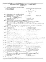 Amin.Aminoaxit.peptit.polime.2 (60cau))