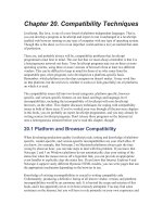 Compatibility Techniques