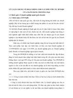 LÝ LUẬN CHUNG VỀ HOẠT ĐỘNG CHO VAY ĐỐI VỚI CÁC DNNQD CỦA NGÂN HÀNG THƯƠNG MẠI