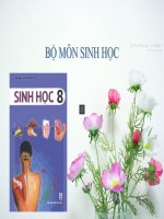 BAI 56 TUYEN YEN - TUYEN GIAP