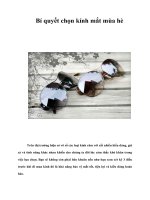 Bí quyết chọn kính mắt mùa hè