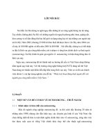 Phân tích hoạt động thuê ngoài đối với ngành gia công phần mềm ở Việt Nam