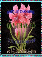 PHÒNG CHÁY KHI Ở NHÀ