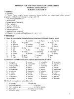 Đề cương ôn tập Anh 10 kì I