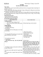 GIAO AN LOP 5 TUAN 13. CKTKN - BVMT