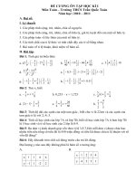 DE CUONG ON TAP TOAN 7 - HKI 10-11