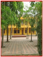 Cấu tạo Tim - Lớp 8