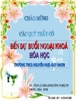 ngoai khoa hoa hoc -2010