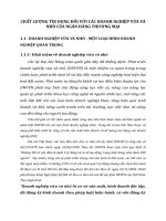 CHẤT LƯỢNG TÍN DỤNG ĐỐI VỚI CÁC DOANH NGHIỆP VỪA VÀ NHỎ CỦA NGÂN HÀNG THƯƠNG MẠI