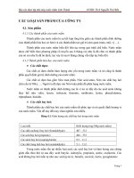 CÁC LOẠI SẢN PHẨM CỦA CÔNG TY