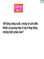 hô hấp ở thực vât11nc