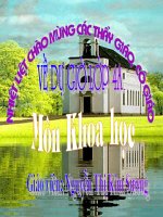 Phong tranh tai nan duoi nuoc