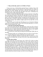 Nâng cao khả năng  quản lý cơ sở dữ liệu và Project