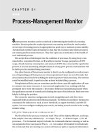 Process-Management Monitor